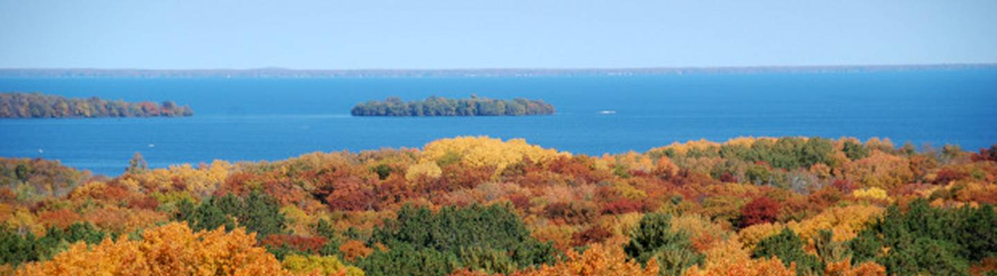 french american heritage foundation, minneapolis, st paul, mn, minnesota, culture, non profit, fahf, fahfminn