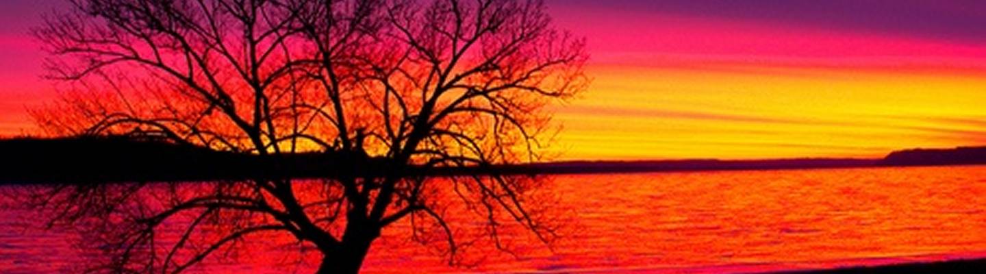 french american heritage foundation, minneapolis, st paul, mn, minnesota, culture, non profit, fahf, fahfminn, lake pepin